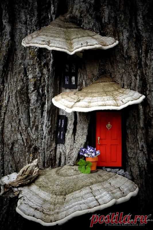 Fairy Garden Houses, Ideas, and Supplies | Family Food Garden