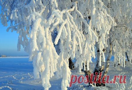 Потрясающие фотографии зимней природы (40 фото)