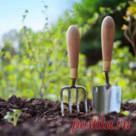 Что делать в огороде в апреле – полезные советы | Огородник (Усадьба)