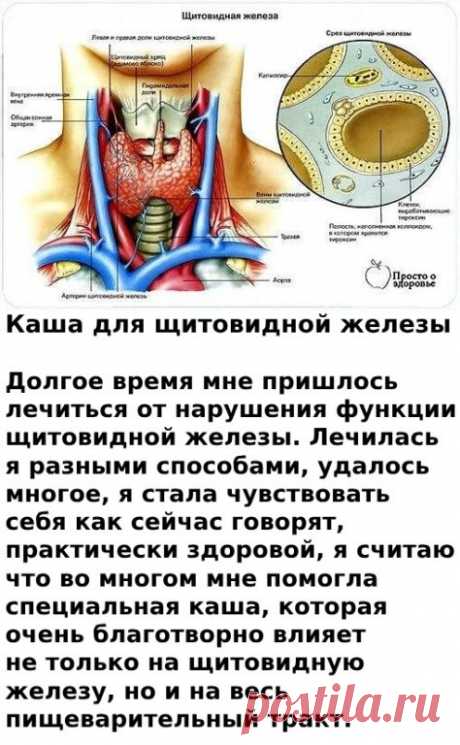 Нужно взять 100 г ядер гречки, 1 чайную ложку куркумы, 50 г сухой морской капусты, пол-литра воды, соль по вкусу...  читать далее