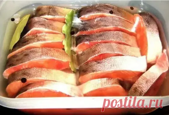 3 отличных рецепта засолки горбуши в домашних условиях