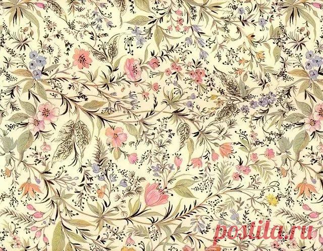 бумажный фон с чертополохом и бабочками: 9 тыс изображений найдено в Яндекс.Картинках