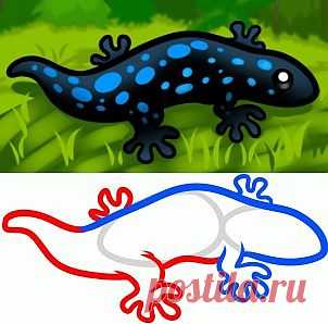 Как легко нарисовать ящерицу.