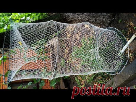 Как сделать вершу (мережу) с нуля, расчеты для изготовления. Часть1