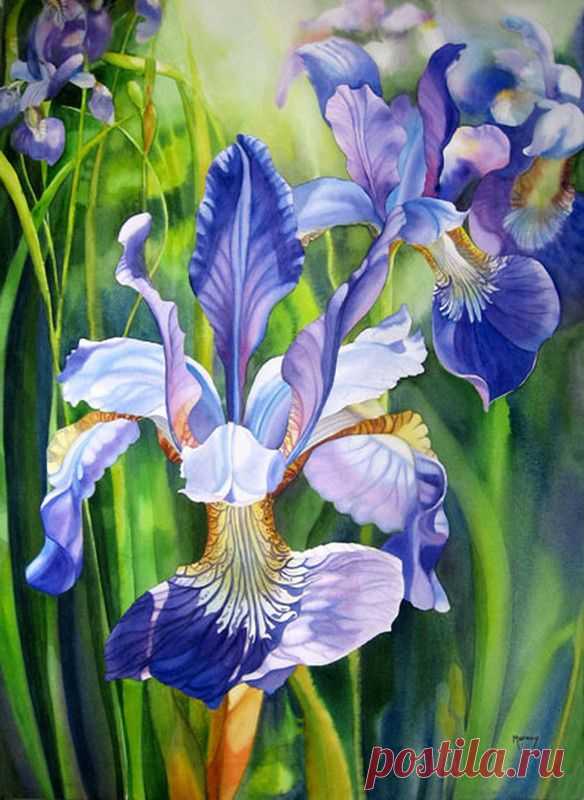 niki guignier приколол(а) это к доске flowers