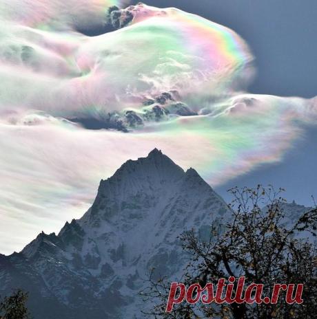 Тот самый случай, когда природа немного запуталась / Всё самое лучшее из интернета