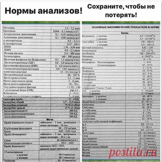 Мой Мир@Mail.Ru