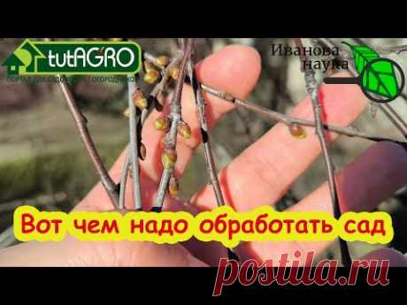 НЕ ОПОЗДАЙТЕ С ЭТОЙ ОБРАБОТКОЙ САДА! Чем обработать деревья и кустарники в АПРЕЛЕ?