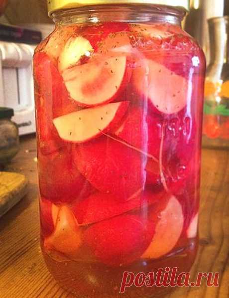 Маринованная редиска на зиму