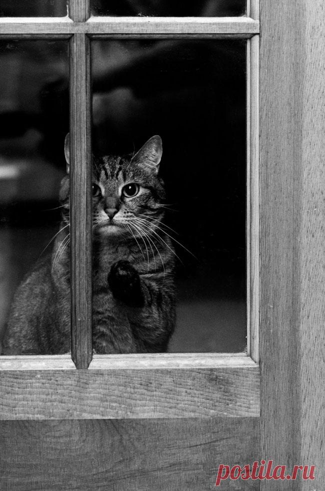 Главное, чтобы дома кто-то ждал – Фитнес для мозга