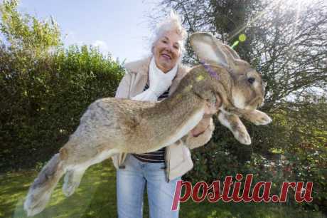 Вы не поверите, но на этих фотографиях нет фотошопа / Болталка / Разговоры на любые темы