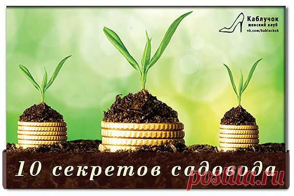 10 САДОВО-ОГОРОДНЫХ СЕКРЕТОВ