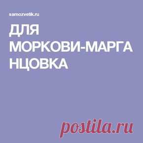 (12) Pinterest