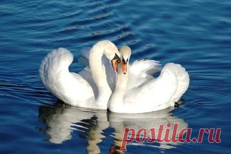 Фразы,Высказывания,Стихи,Цитаты,Видео...
Елена Станова