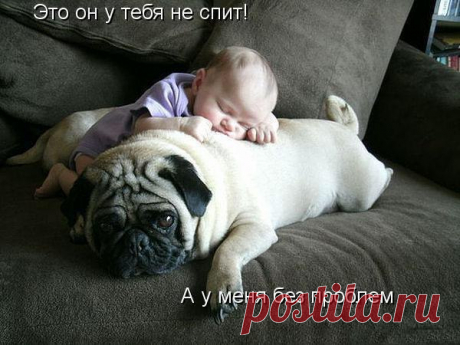 СПОКОЙНОЙ НОЧИ !!! УДИВИТЕЛЬНЫХ ВАМ СНОВ!!!
БУДЬТЕ СЧАСТЛИВЫ!!! ДО ЗАВТРА!!!