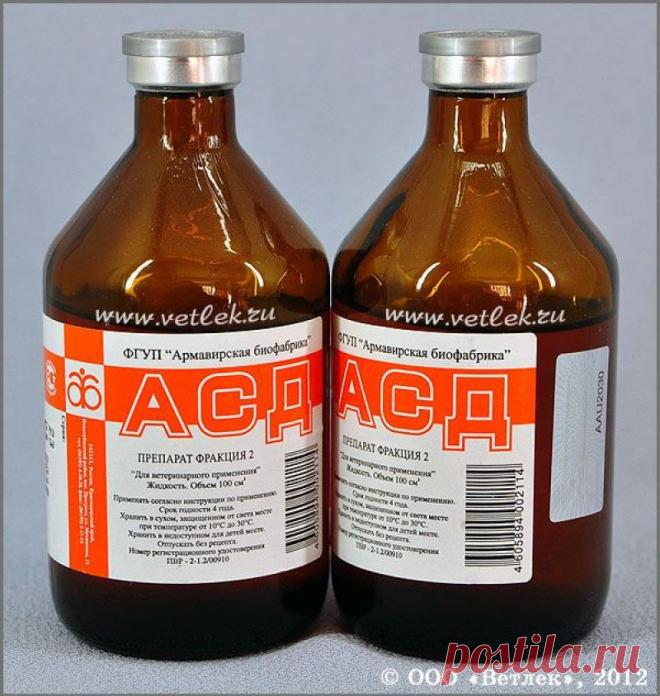 Могучее лекарство, о котором молчала вся официальная советская медицина