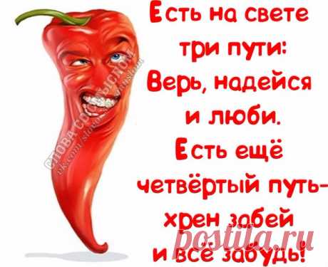 Прикольные фразочки в картинках (07.04.2017)
