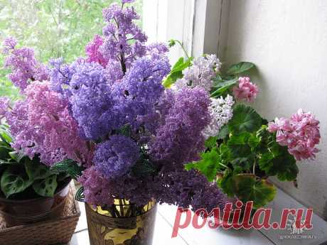 Цветы из бисера: фото, схемы, мастер-классы.