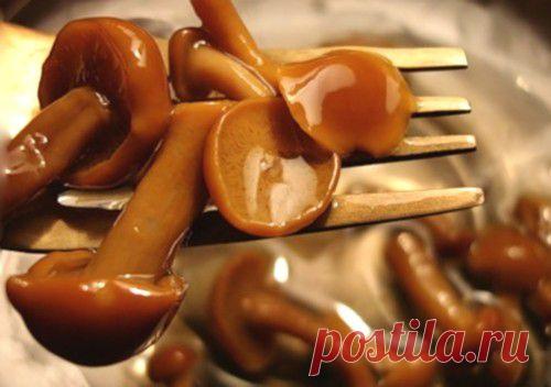 Простые кулинарные рецепты домашних блюд с фото | Ovkuse.ru - Страница 79