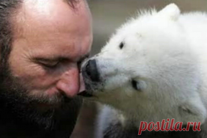 Человек и животные