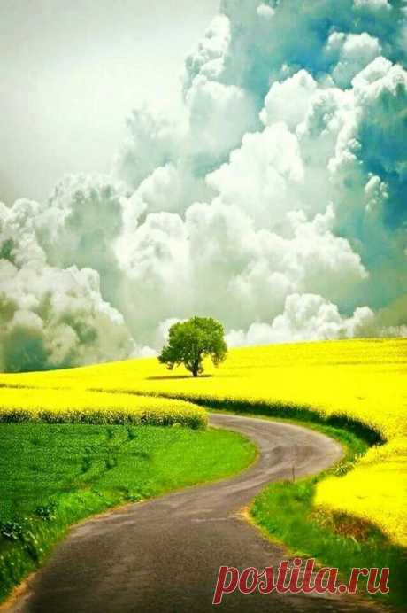 Лидия Новикова - Google+