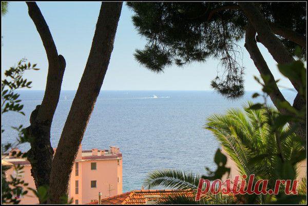 Лазурный берег, Канны. | Фотографии Светлана Верхошинская | 8083 фото