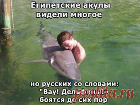 Я - суперпупер! Сайт любителей похвастаться