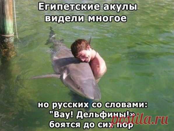 Я - суперпупер! Сайт любителей похвастаться