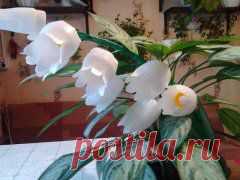 МК ЛАНДЫШИ.http://ok.ru/profile/519178593901/album/665807371885