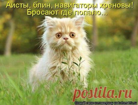 Мысли вслух... / Приколы