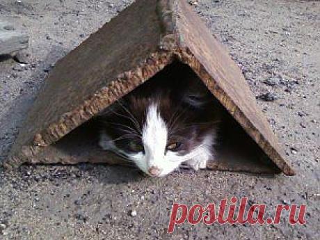 Грустные цитаты и статусы | Печальна.ру - Сборник грусти.