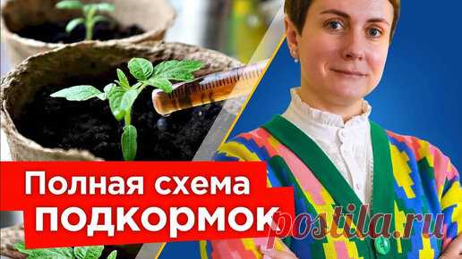 Хотите крепкую рассаду и быстрый рост корней? Вот лучшая схема подкормок для рассады овощей и цветов | Procvetok | Дзен
