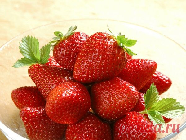 Дрожжи для подкормки клубники