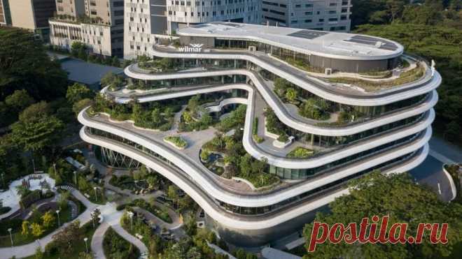 Eric Parry Architects staggers garden terraces down curving Wilmar HQ