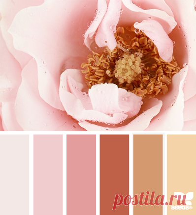 Цветы, деревья — источник вдохновения! | BepHuK собирает друзей