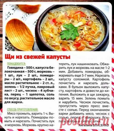 Щи из свежей капусты