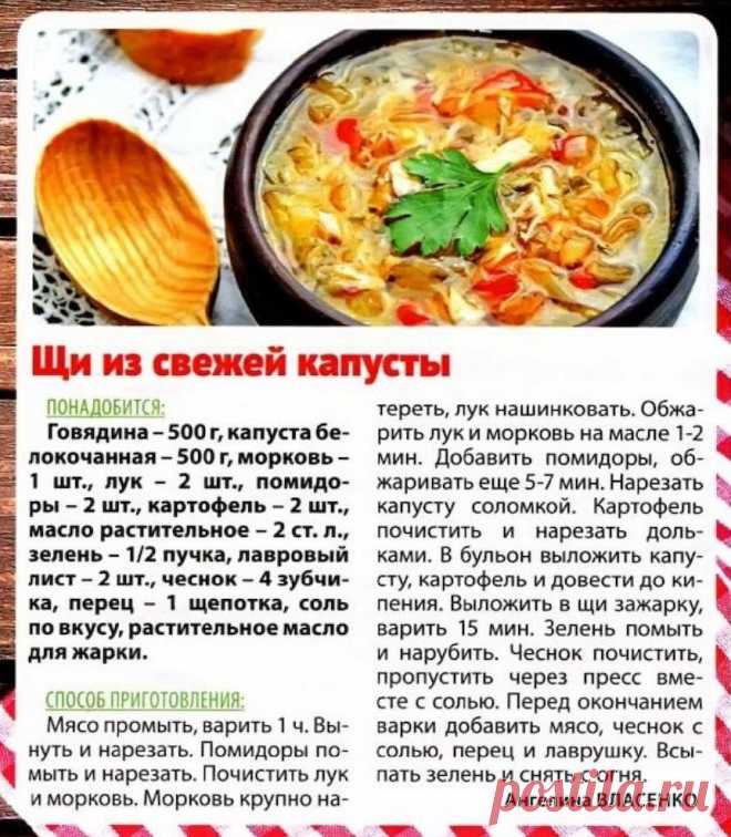 Щи из свежей капусты