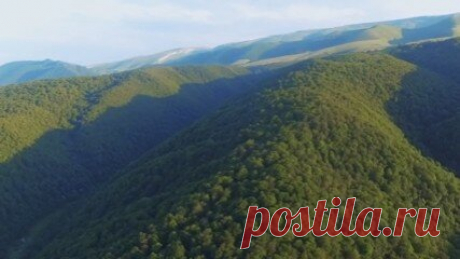 Видеосъемка с высоты птичьего полёта