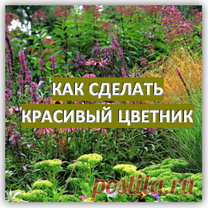 садовые цветы, клумбы и цветники своими руками / Красивые идеи для сада
