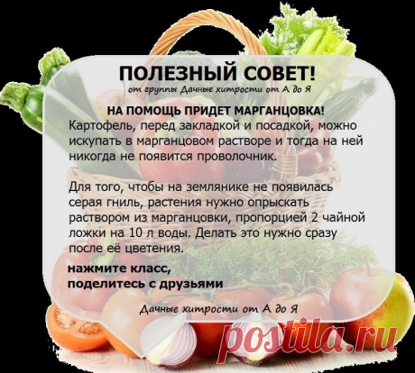 Дачникам на заметку.