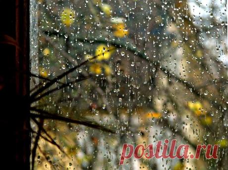 5197856zib.jpg (700×522)