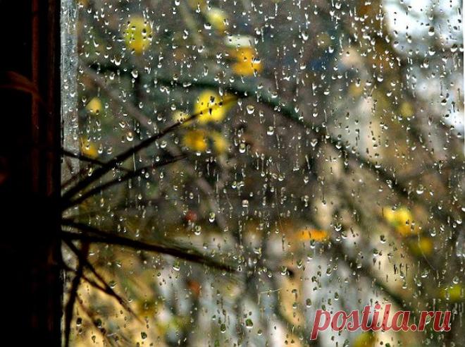 5197856zib.jpg (700×522)