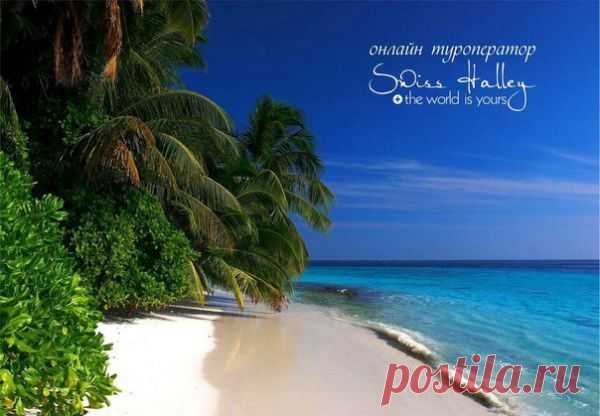 Swisshalley- это онлайн тур оператор, предлагающий шикарные возможности как постоянным путешественникам, так и людям желающим изменить свою жизнь, увидеть мир во всей его красе, стать финансово независимыми! Swisshalley- это туристический бизнес 21 века, новый виток в развитии туризма! Swiss Halley- это новый мультимиллиардный бренд, о котором в скором времени будут знать все в мире!