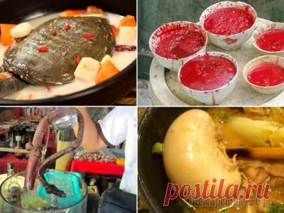 15 самых необычных супов в мире с необычными ингредиентами