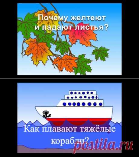 Новости