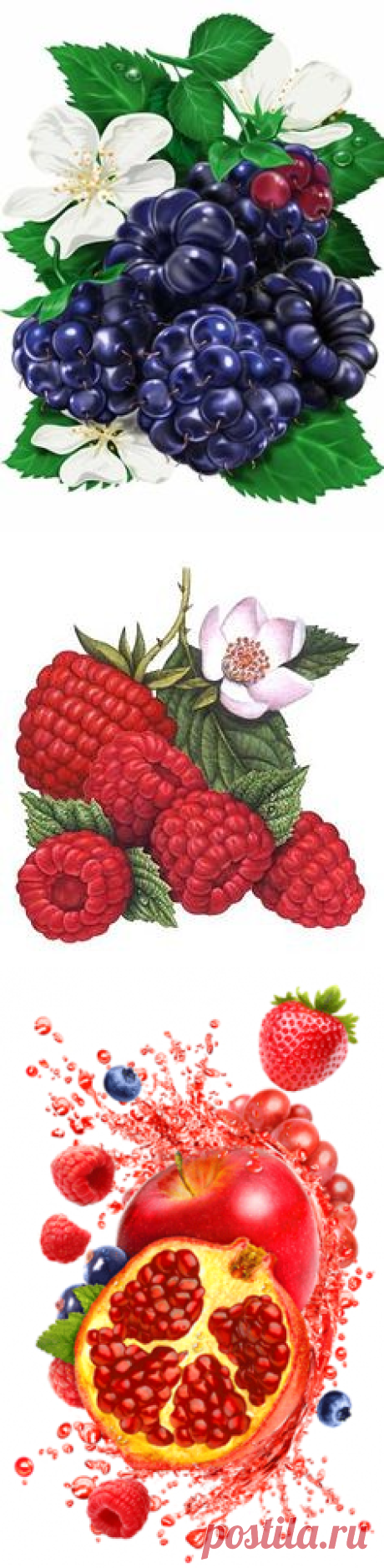 Pinterest