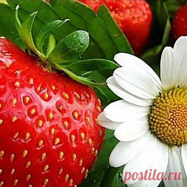 Ceramics в Instagram: «Glad Midsommar 
Torsdag 10-15
Fredag  Stängt
Lördag  Stängt» 10 отметок «Нравится», 0 комментариев — Ceramics (@ceramicsvarberg) в Instagram: «Glad Midsommar 
Torsdag 10-15
Fredag  Stängt
Lördag  Stängt»