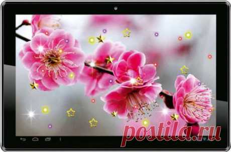 sakura spring - Поиск в Google