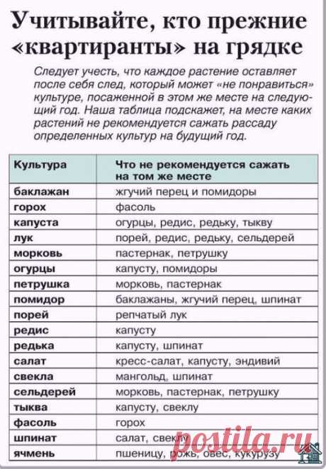 Дачникам на заметку