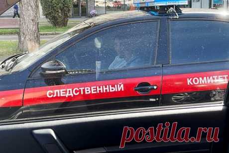 Трое россиян попытались продать тушу амурского тигра и попались. В Хабаровском крае пройдет суд над тремя местными жителями за незаконную добычу и оборот амурского тигра. Мужчины проходят обвиняемыми по статье 258.1 УК РФ. В марте 2023 года они перевезли на автомобиле из района имени Лазо в Хабаровск незаконно добытую тушу особо ценного дикого животного — амурского тигра.